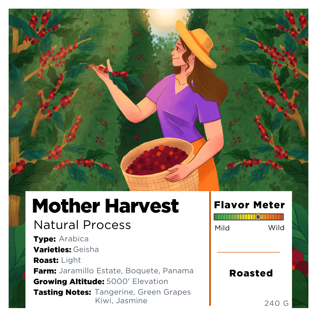 Mother Harvest coffee bag