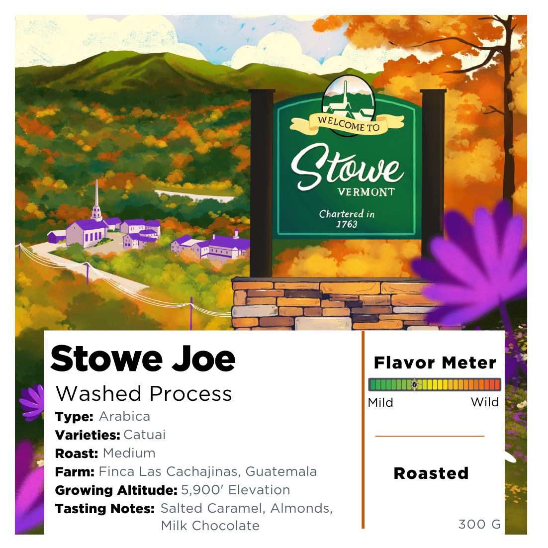 Stowe Joe Coffee Bag