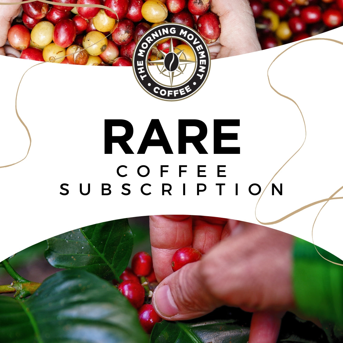 Rare Coffee Subscription